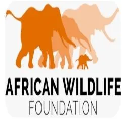African Wildlife Foundation (AWF)