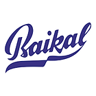 Baikal Financial Services Ltd
