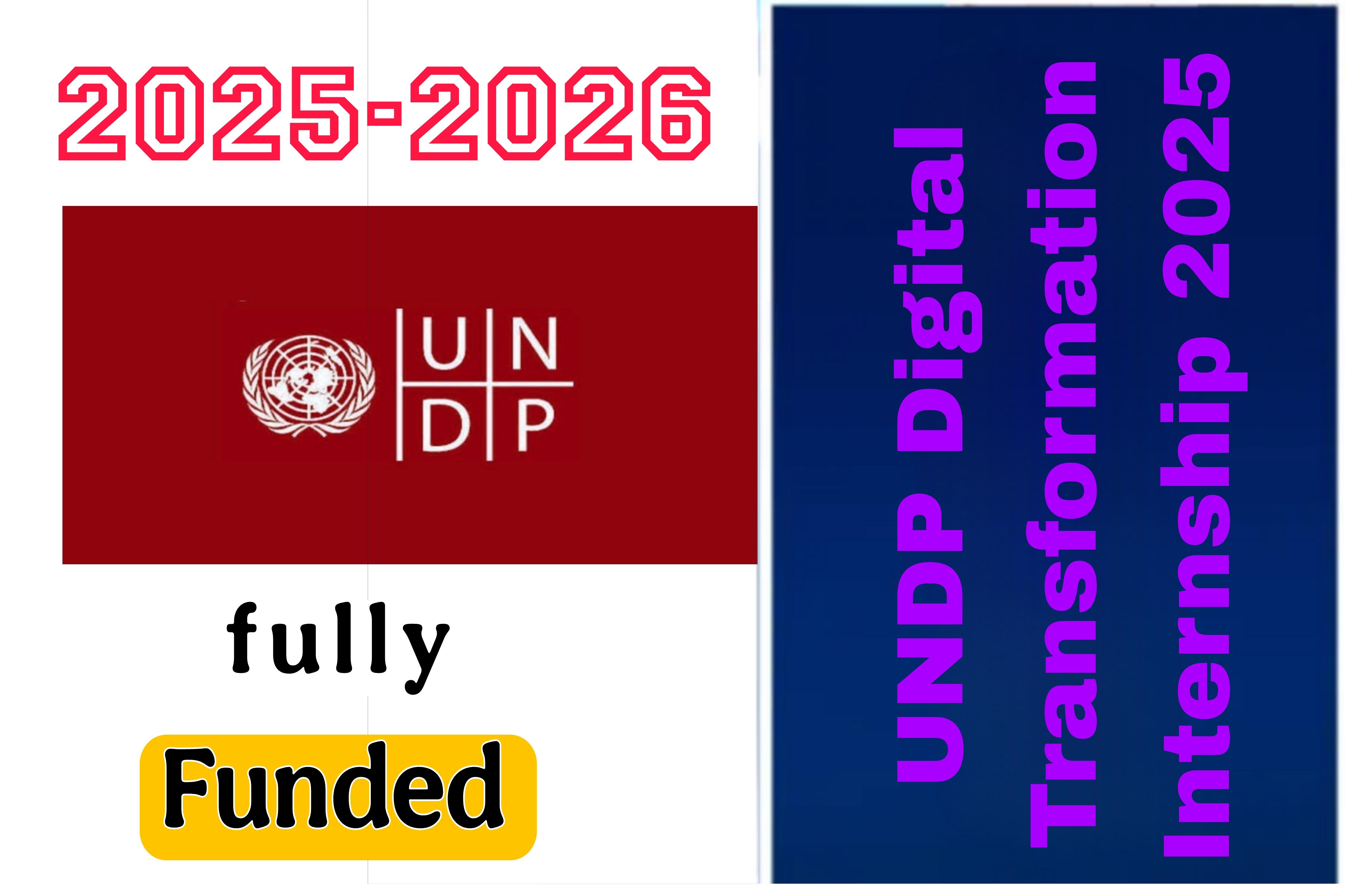 UNDP Digital Transformation Internship 2025