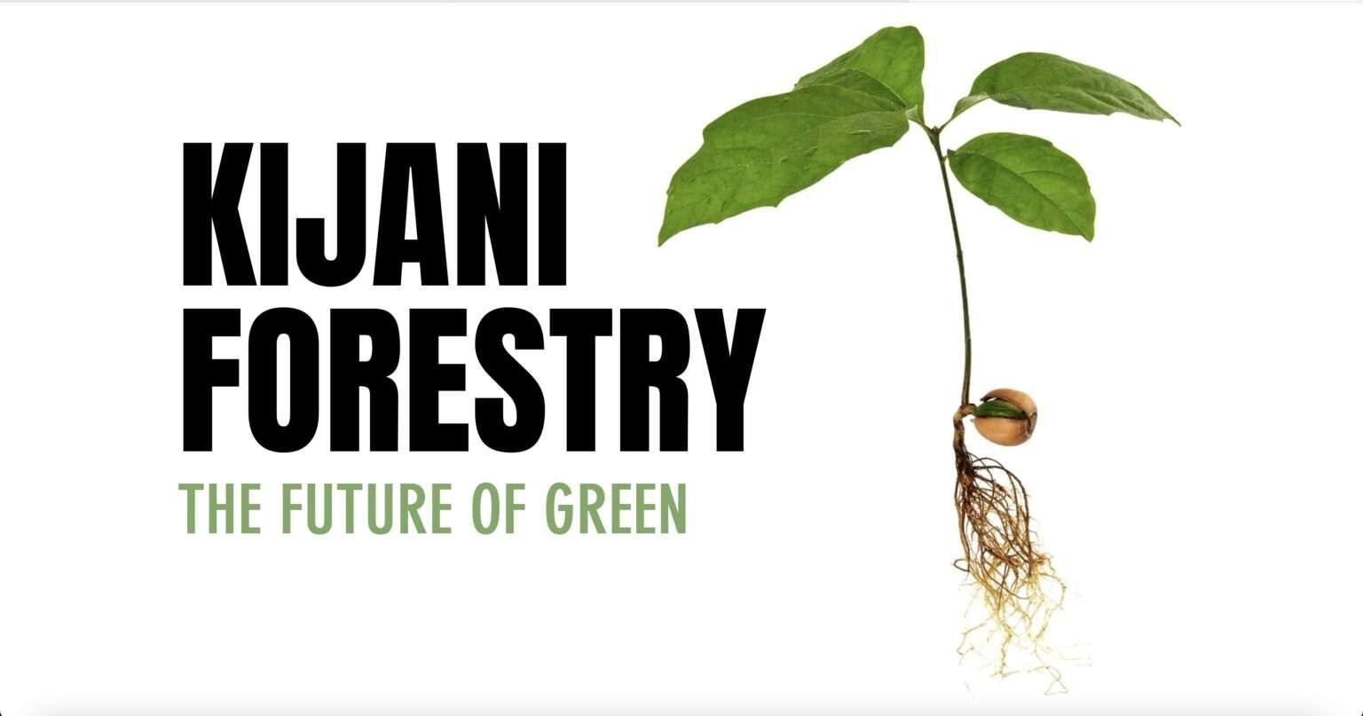 Kijani Forestry