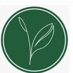 Kijani Forestry