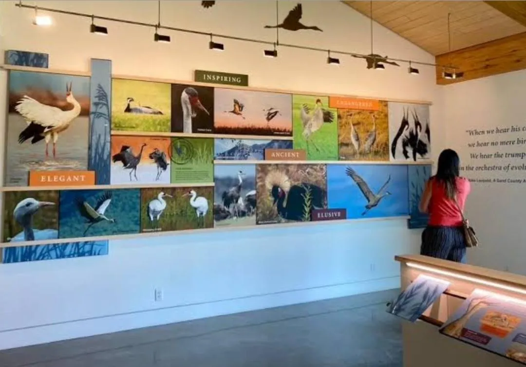 The International Crane Foundation (ICF)