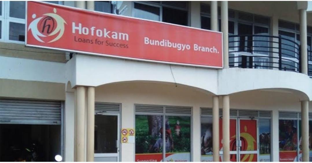 hofokam ltd