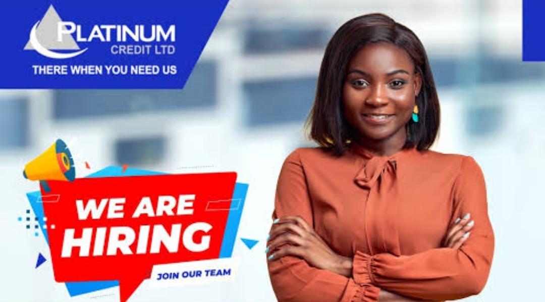 Platinum Credit Ltd
