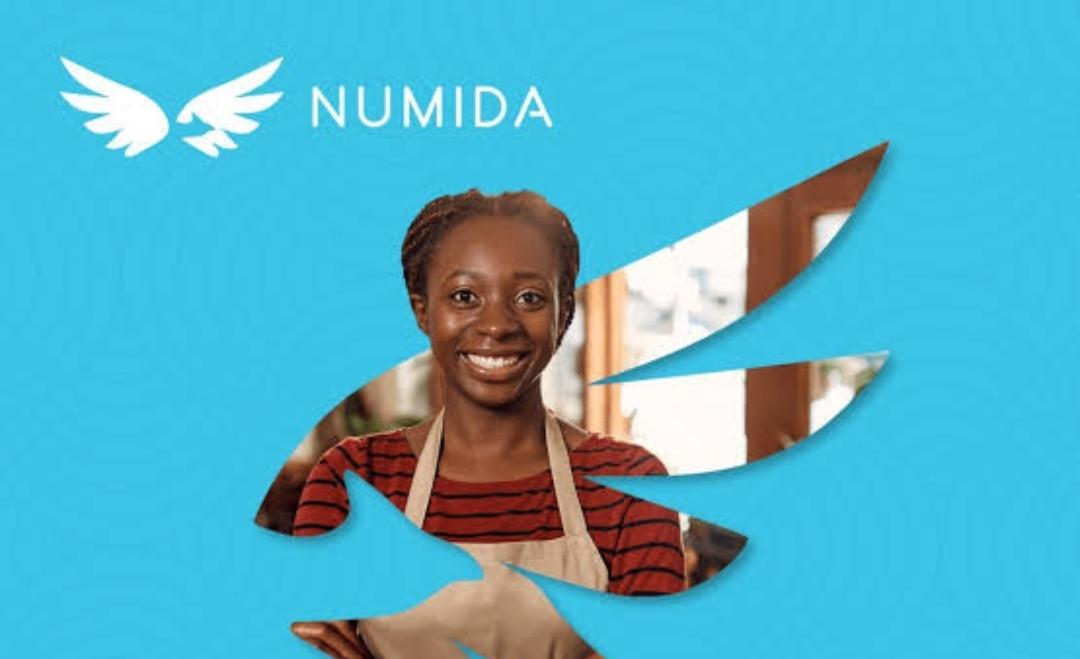 Numida