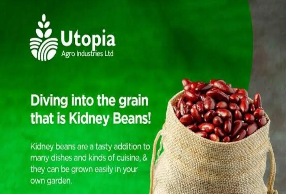 Utopia Agro Industries