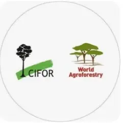 CIFOR-ICRAF