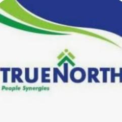 True North Consult Ltd