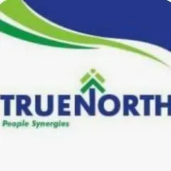 True North Consult Ltd